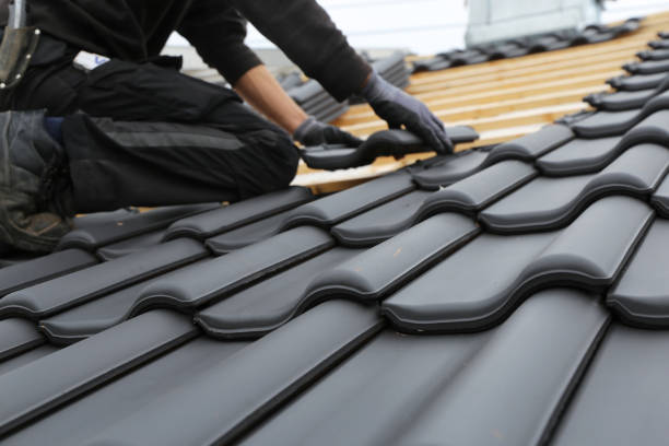 Best Solar Panel Roofing Installation  in Atasdero, CA